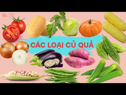Dạy Bé Nhận Biết CÁC LOẠI CỦ QUẢ | Nhi TV #hoaqua #tráicây #raucuqua