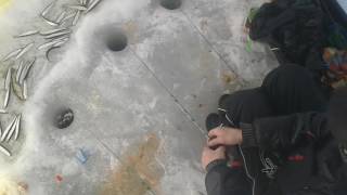 Чем ловить корюшку на сахалине