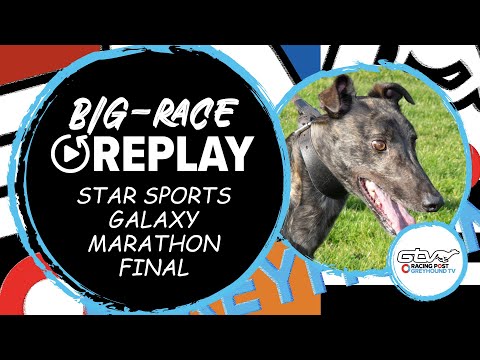 2023 Star Sports Galaxy Marathon Final - Night time Danny | Greyhound Race Replays | 2023 Big Finals