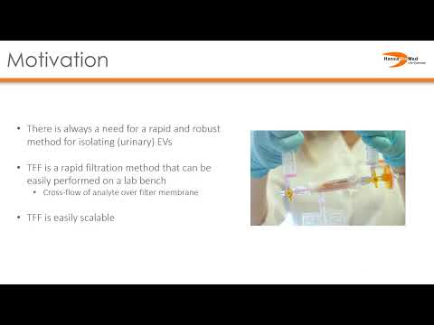 Tffuevs Presentation