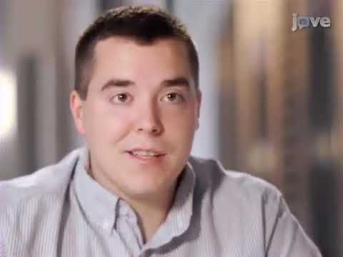 Lateralized Odor Learning Model for Dissecting Neural Circuitry