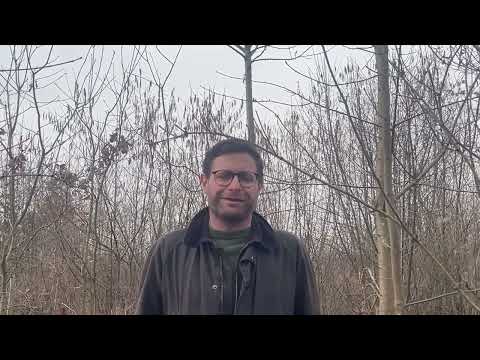 Wilhering, eine klimafitte Waldgemeinde