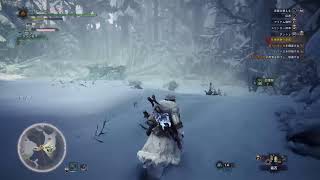 のんびりアイスボーン[PS5]