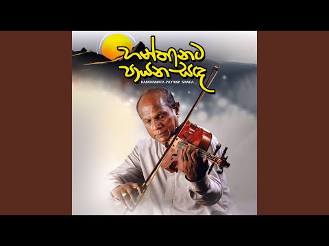 Mage Punchi Rosa Male