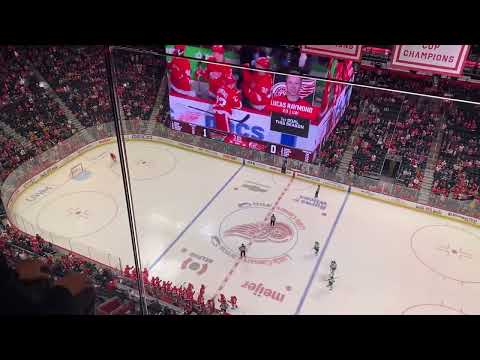 Lucas Raymond Goal v.s. Wild - 10/29/22