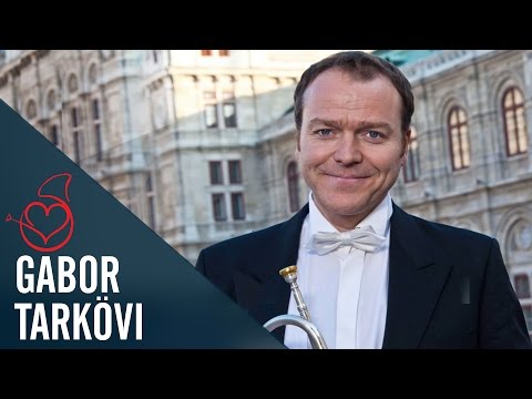 Gábor Tarkövi live on Sarah's Horn Hangouts