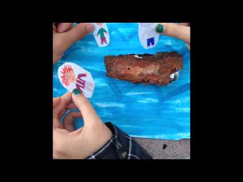 Huck Finn Project By: Lily Tran