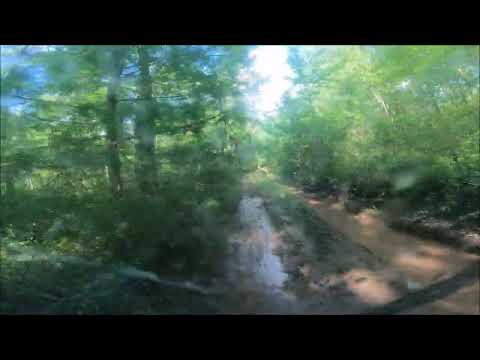 BDR-X PA Wilds ● Sharpback Hollow Expert Section