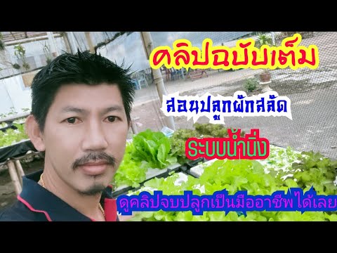ขั้นตอน