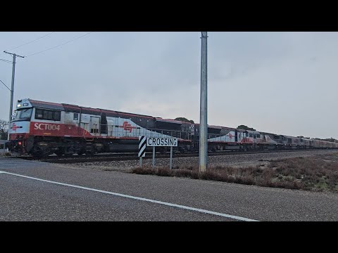 6AM9 SCT up "Dark Ghost" (3x SCTs, 2x CSRs), Penfield to Laverton, 1640 SA, 11/7/25, Coonalpyn SA