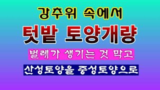 [텃밭농부 2,135]  강추위 속에서 토양개량작업. 해충은 줄이고 토양은 중성토양으로! #토양개량 #석회비…