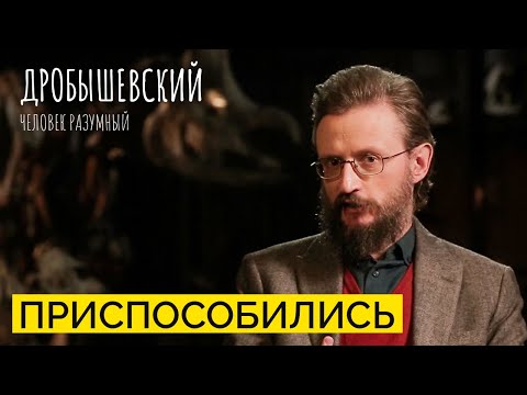 Как человек адаптировался к разным климатическим зонам? // Дробышевский. Человек разумный