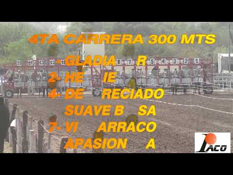 DESPRECIADO HIPODROMO DON SOHAR CRUZ DEL EJE 28 08 2022