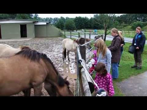 Jugendarbeit des Deutschen Tierschutzbundes