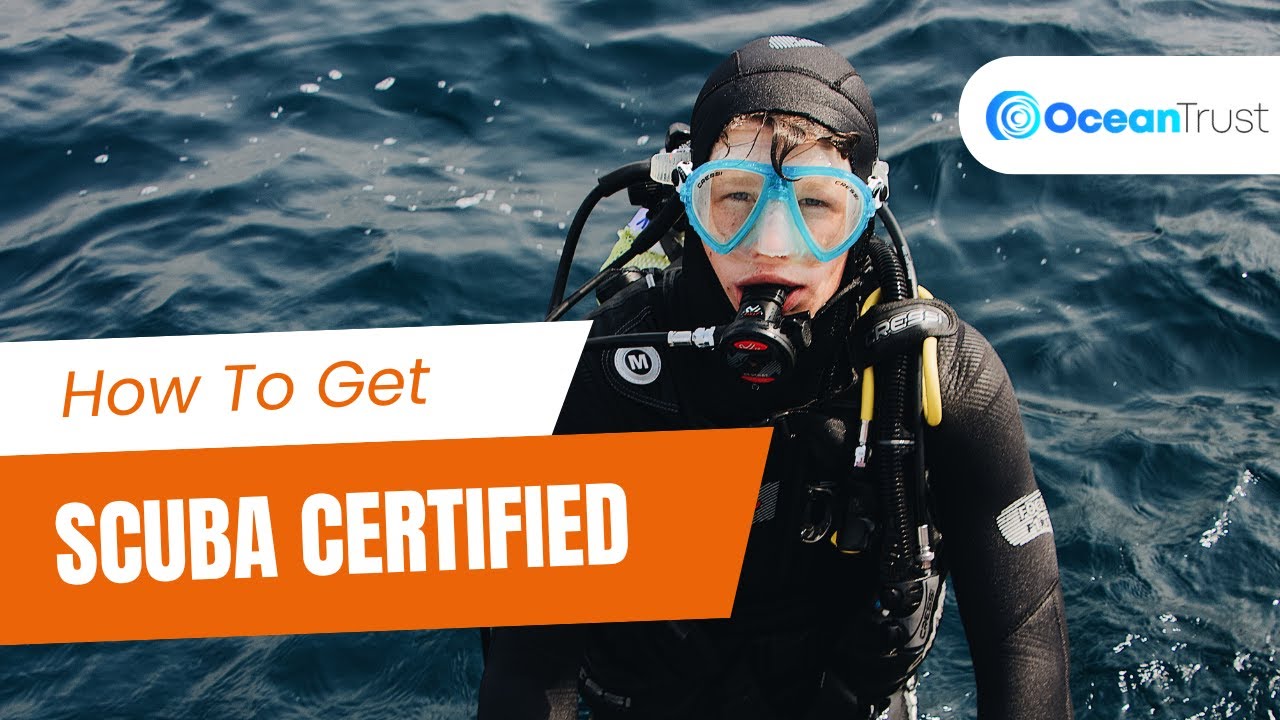 How Do You Get Scuba Certified? | Prices Included! | Ocean Trust 🤿🌊🐠