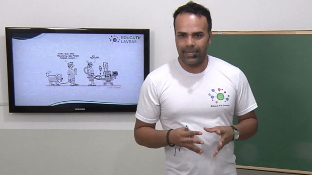 Língua Portuguesa, 8º ano: Interpretação textual - exercícios