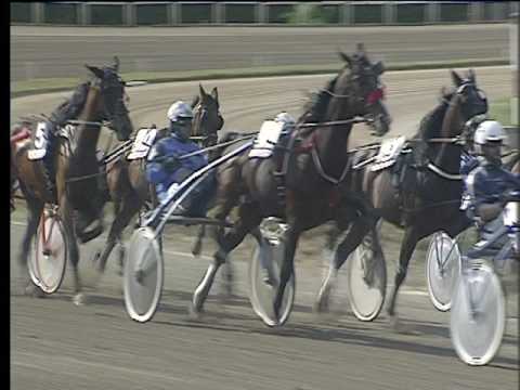 Trotto 07/04/2017 - 2ª corsa