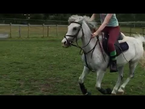 how to: mounted games,, run & ride