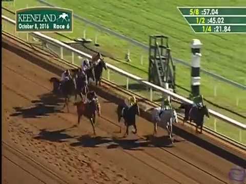 2016 Thoroughbred Club of America Stakes — Irish Jasper