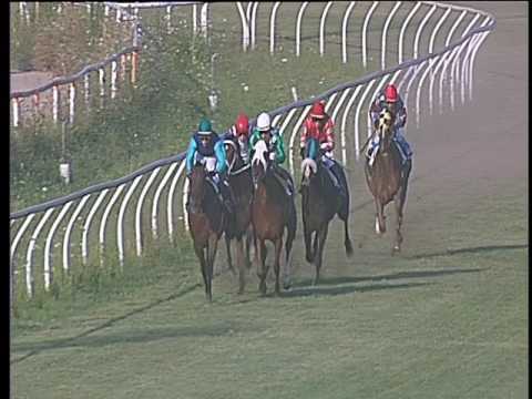 Galoppo 19/07/2017 - 2ª corsa