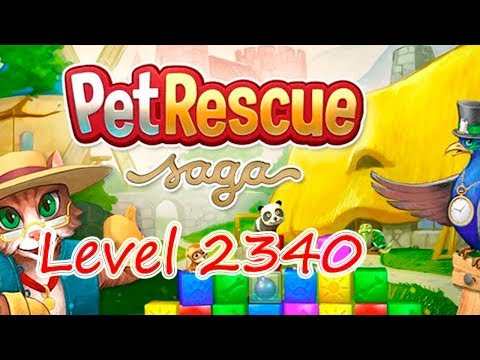 Pet Rescue Saga Level 2340 (NO BOOSTERS)