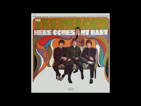The Tremeloes - Good Day Sunshine  - 1967 (STEREO in)