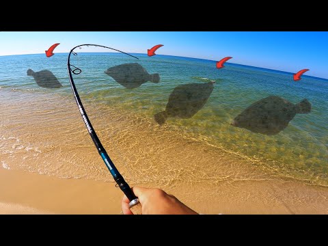 Catch LOADS of Flounder from the Beach! *Everything You Need to Know*