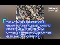 Protester Dressed As Referee Carried Off Court At NBA Game NewsNation