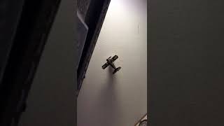 Random Reality Shifts - Coheed and Cambria cover