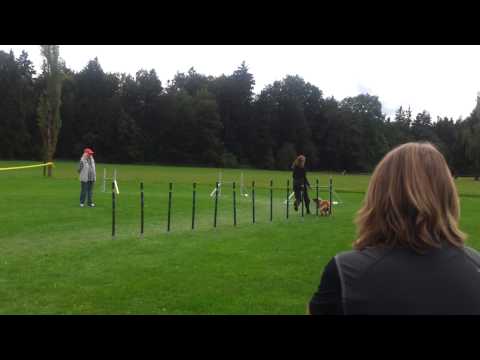 4. LM OÖ/Sbg am 15.09.2013