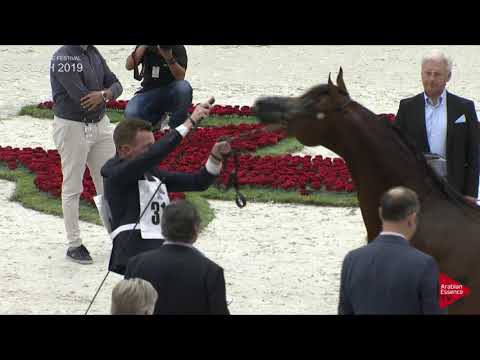 N 314 OMEAR AL HAWAJER   Sharjah International 2019