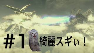 4kと化したゼノブレイド　ディフィニティブエディションをやっていく　＃１