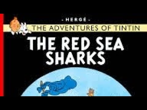 Tintin the red sea skarks