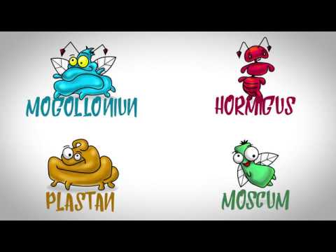 Moscum Plastan Hormigus Mogollonium - YO SOY RATÓN (videoclip)