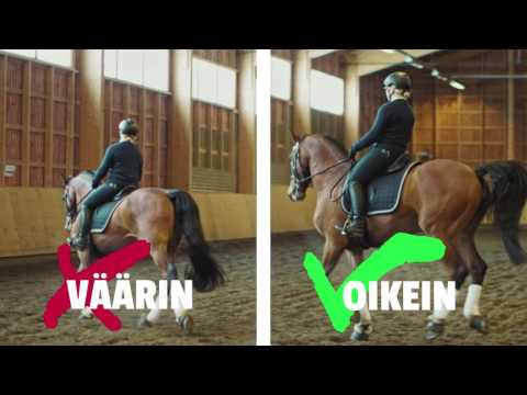 Ratsaille: itsenäinen istunta 3/8