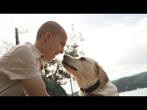 A história dos cães-guia de Ben & Jontie para PETstock Assist