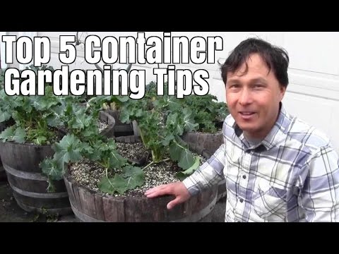 download lagu mp3 mp4 Why Container Gardening, download lagu Why Container Gardening gratis, unduh video klip Why Container Gardening