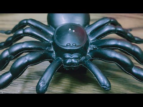 Attacked by Black Tarantula