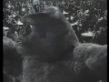 Mighty Joe Young - Beautiful Dreamer 