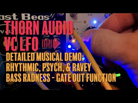 Thorn Audio VC LFO + VCA + SAMPLE HOLD | Reverb