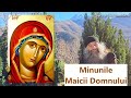 Minunile Maicii Domnului P Pimen Vlad