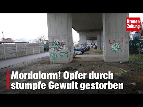 Mordalarm! Opfer durch stumpfe Gewalt gestorben | krone.tv NEWS