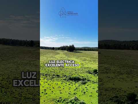 Campo ganadero 100 hectáreas en José Ignacio, Maldonado, Uruguay