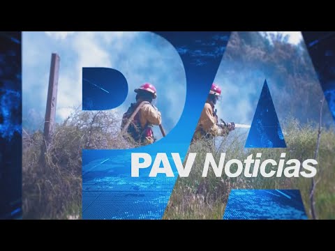 PAV Noticias 20 hs  - 28/01/2026