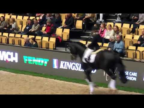 Total Hope og Isabel Freese i Herning 2019.