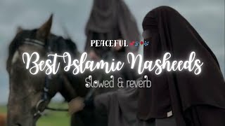 Download lagu Most popular nasheed playlist | Muhammad Al Muqit | Nasheeds for studying | Emotional Arabic nasheed mp3