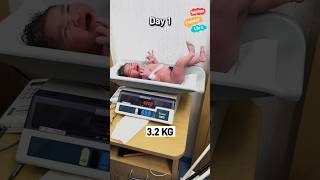 Baby Weight Gain Progress Newborn to 8 Months🏋️‍♂️👩‍🍼#shorts #babydevelopment