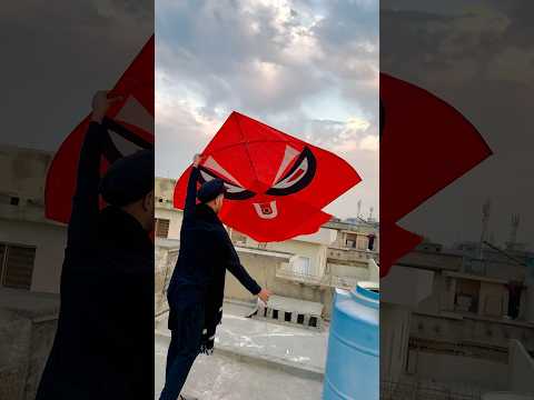 Itna bara guda 😱 #kite #kiteflying #youtubeshorts