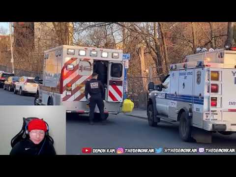 Demon Kam Reacts to Yonkers Gang War - Elm Street Wolves Vs The Strip Boys