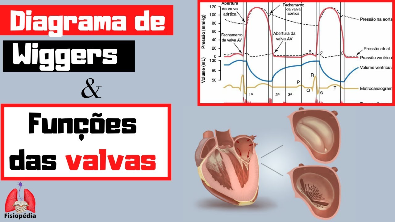 Cap.09: Diagrama de Wiggers e função das Valvas cardíacas [Guyton]